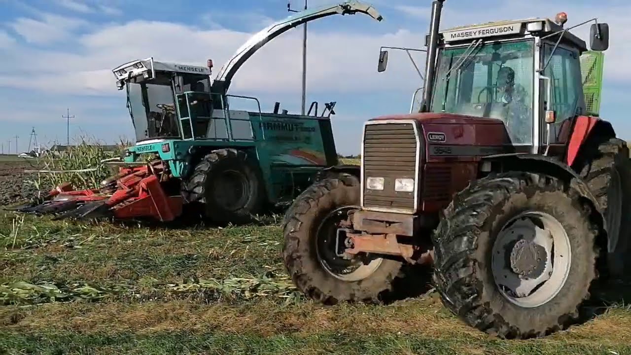 Akcja Kukurydza 2020 Mengele mammut,massey ferguson