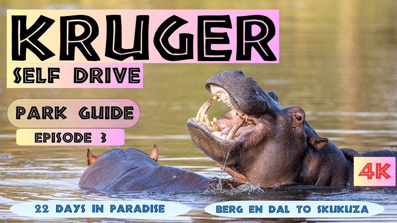 Where to Drive In Kruger from Skukuza To Lower Sabie