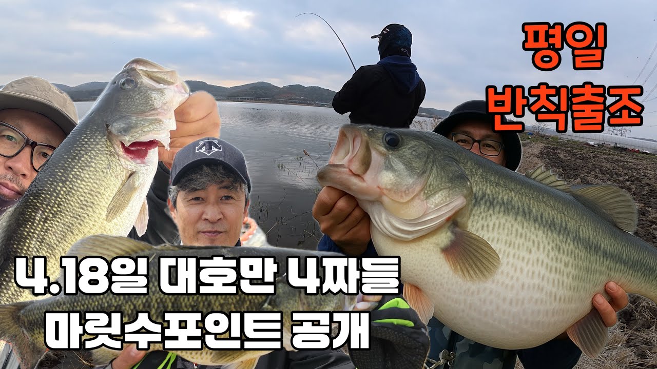 대호만 4짜들 그리고 마릿수 채비 - 0번수로 채비 포인트 공개 (2025.4.18)