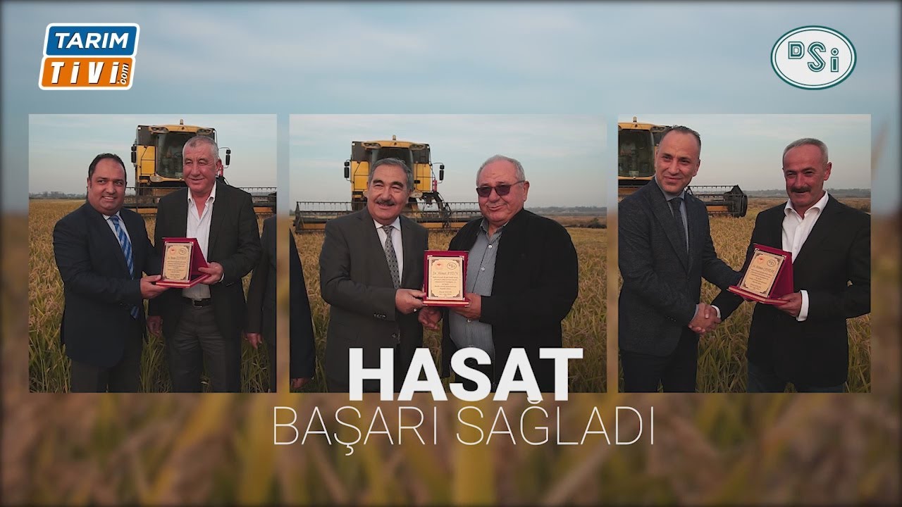 Çeltik Üretiminde Bu Yöntem  Girdileri Yarı Yarıya Düşürüyor.