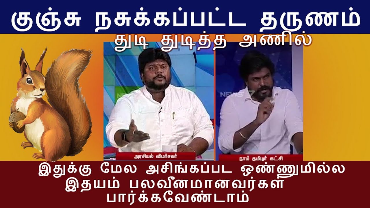 குஞ்சு நசுக்கப்பட்ட தருணம் துடிதுடித்த அணில் |  முரட்டு சம்பவம் மிஸ் பண்ணாதீங்க 😆😂👌 | TVK TROLL