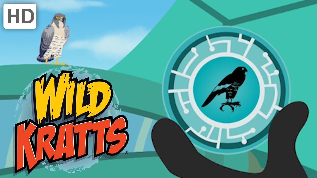 Wild Kratts 🦅 Fly Up High with Creature Powers! | Kids Videos