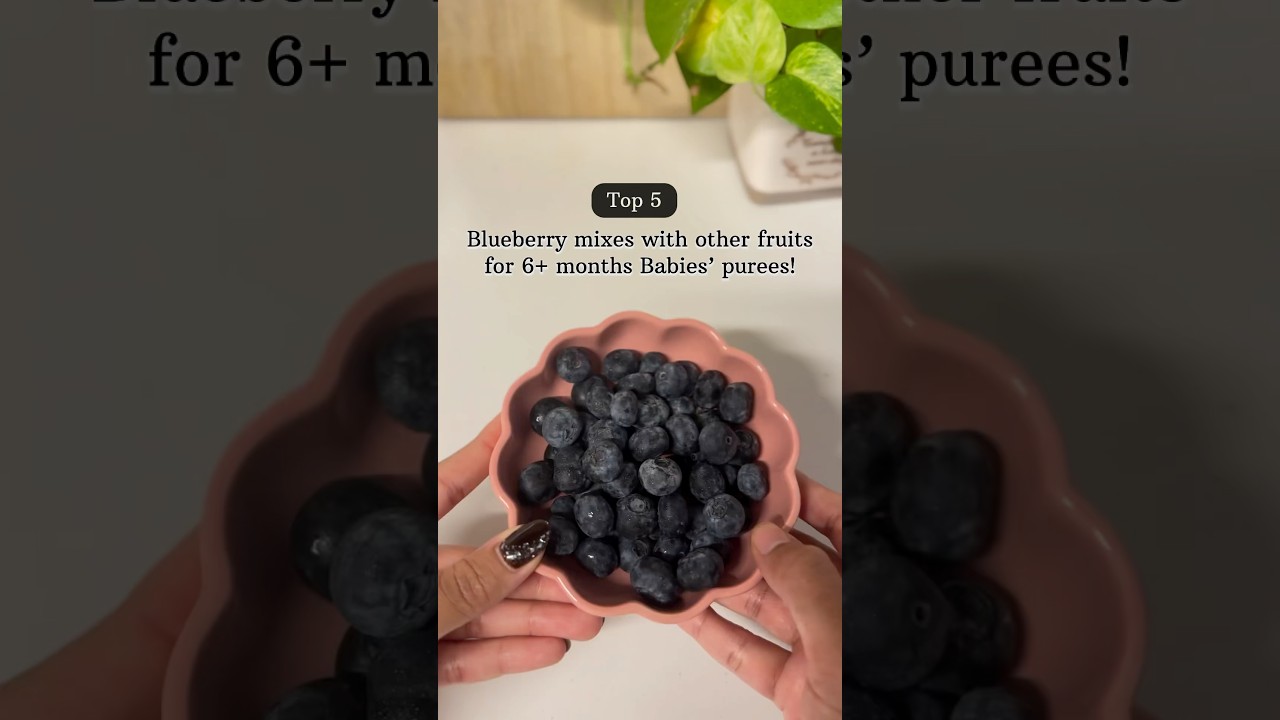 5 ways to give blueberries to 6+ months babies #blueberry #applepuree #babyfood #babyfoodrecipe