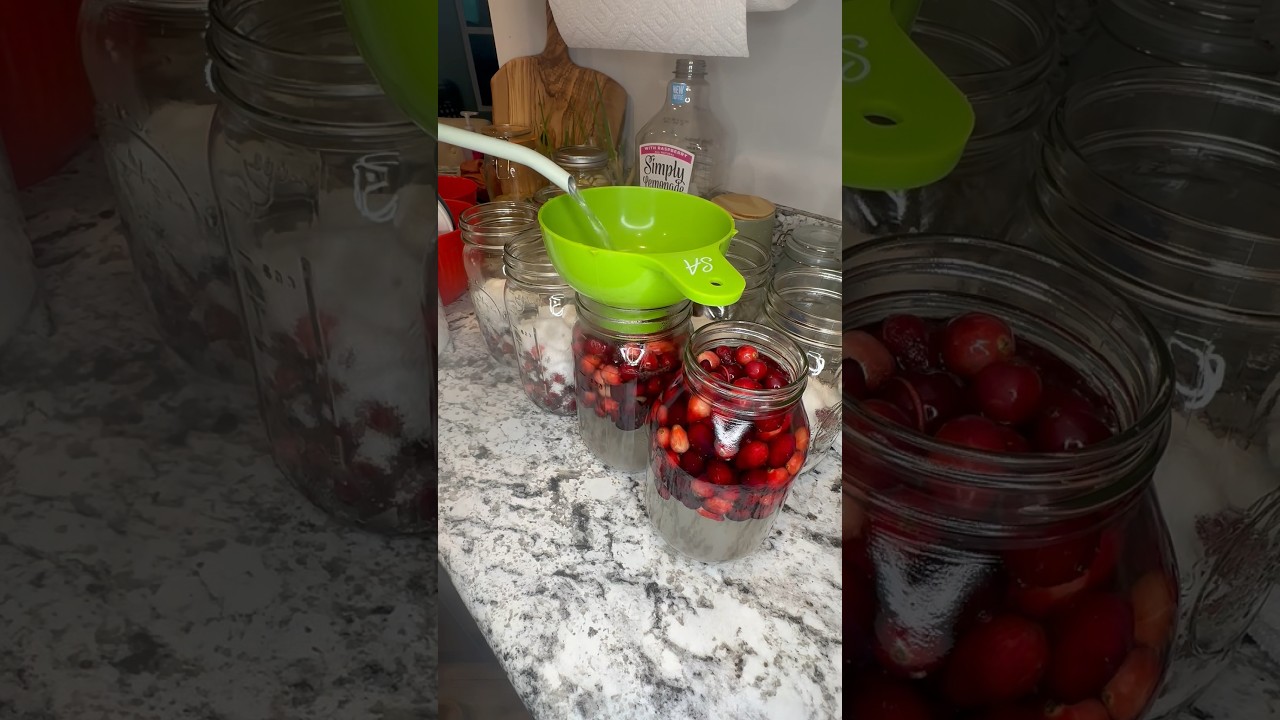 Easy Homemade Cranberry Juice