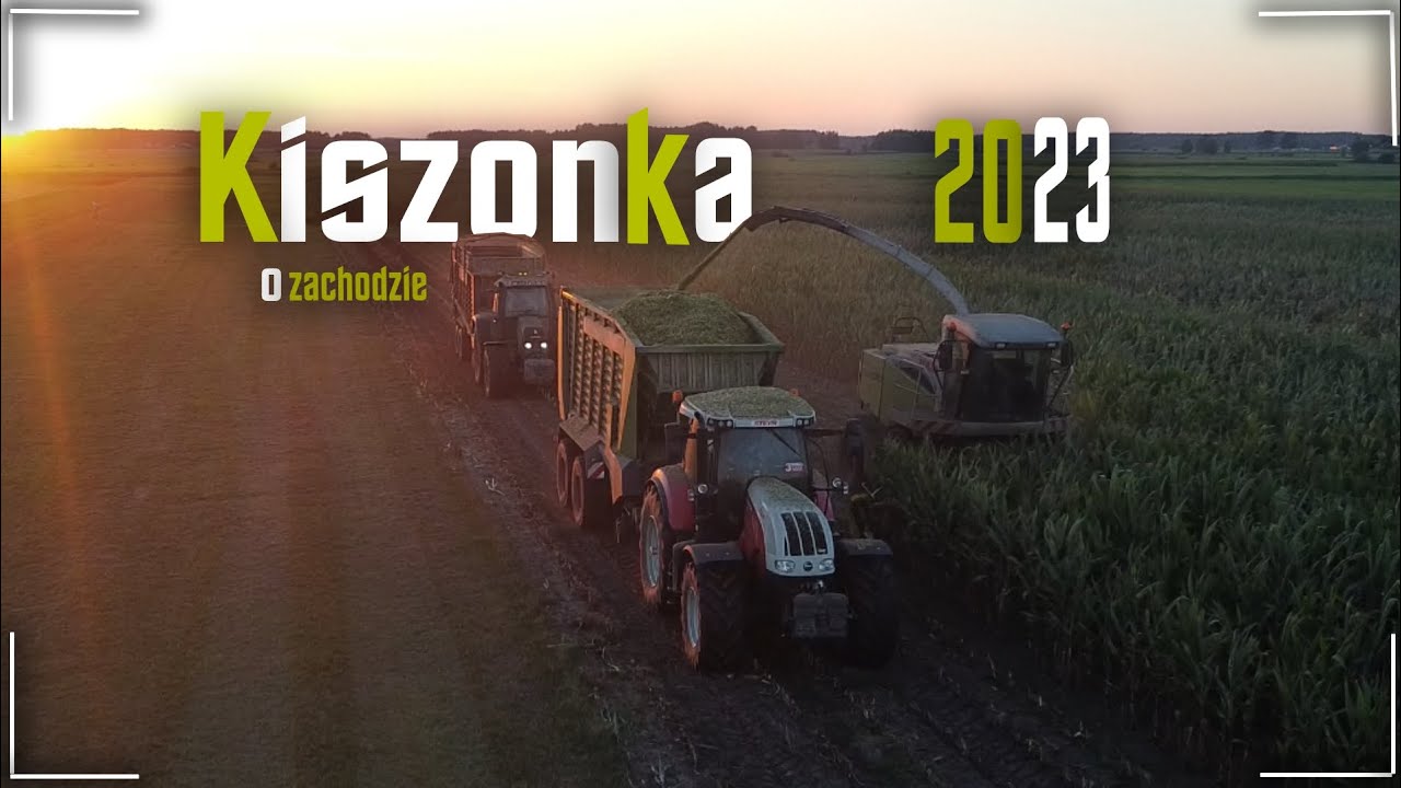 🌽Kiszonka z kukurydzy 2023 przy zachodzie słońca🌽 Wyścigi po polu 🔥  ✓ Claas ✓Steyr ✓2x Fendt ✓Case
