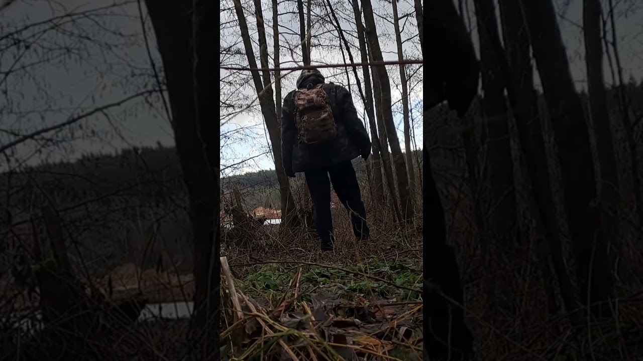 Ausblick im Wald auf einen See. #bushcraft #freiheit #natur  #tiefimwald #outdoor #miniadventures