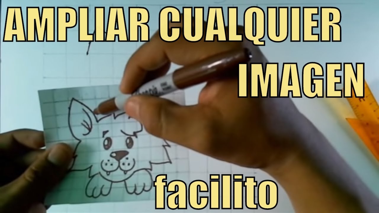 APRENDER A DIBUJAR FACIL EN CASA TECNICA DE LA CUADRICULA  ampliar cualquier dibujo o imagen
