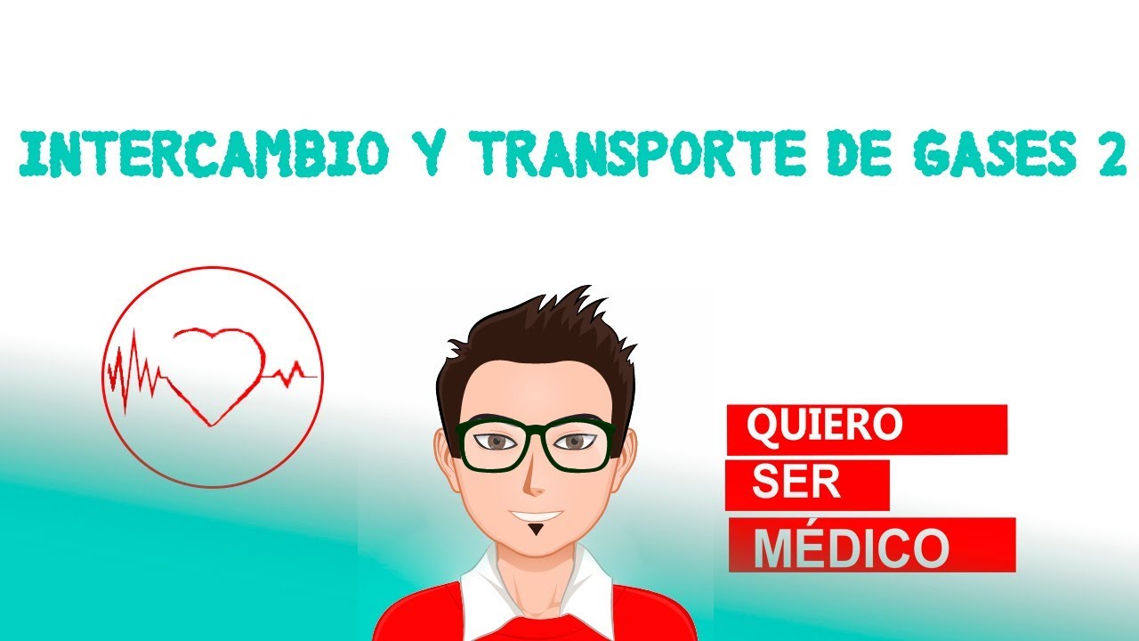 CONTROL DE LA RESPIRACI&Oacute;N. Fisiolog&iacute;a de la respiraci&oacute;n. &iquest;Por qu&eacute; respiramos?