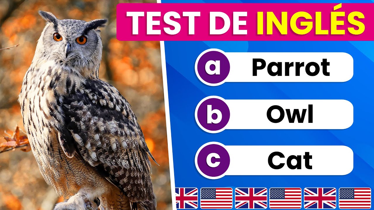 Test de Animales en INGLÉS 🐻🐥🐸| Nivel Fácil ✅| English Test