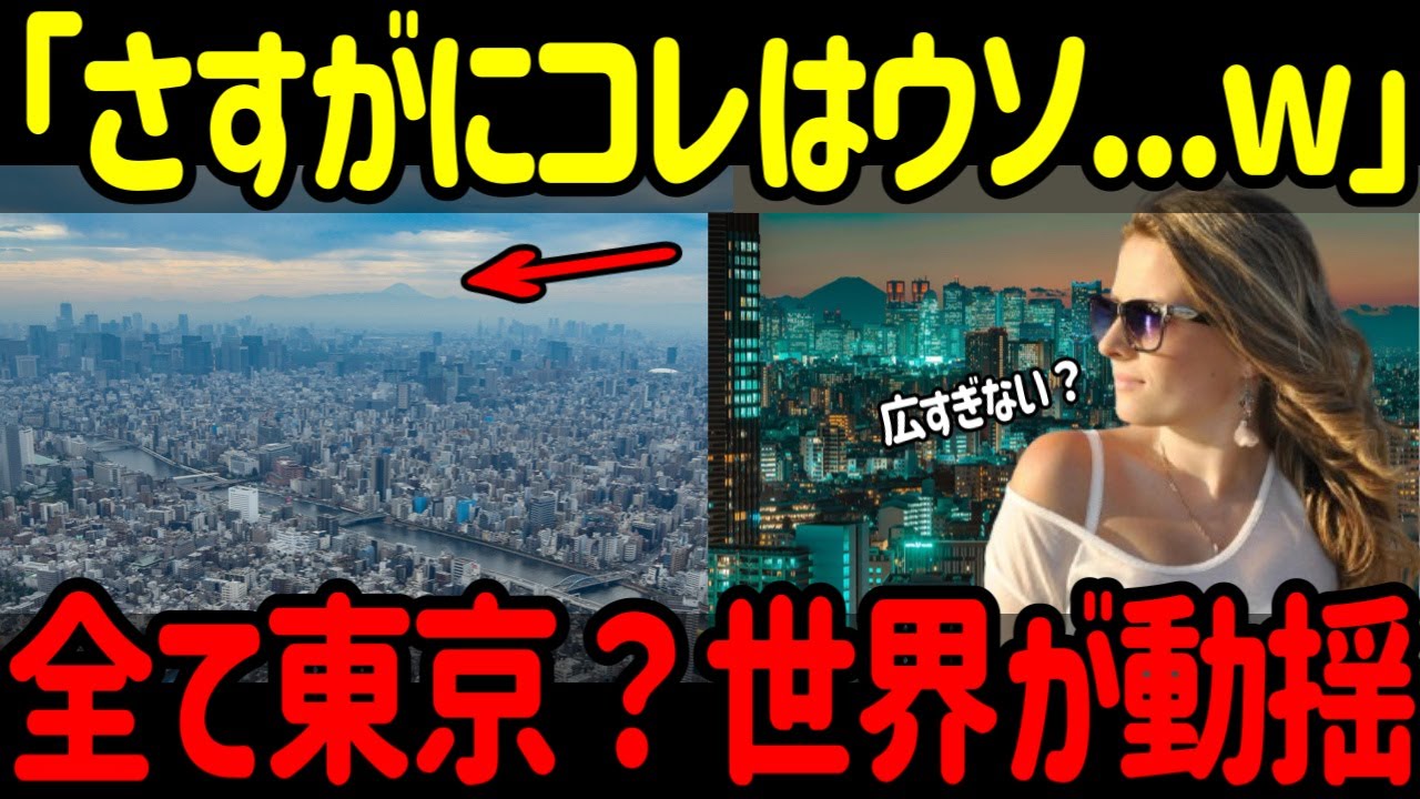 【海外の反応】どこまで行っても東京の街？都市としての東京の異様さに対する外国人の反応集