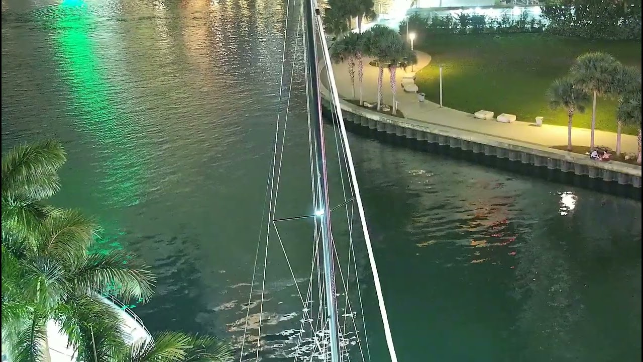 Miami River Camera - Feb 16, 2026 1:00 AM to 2:00 AM