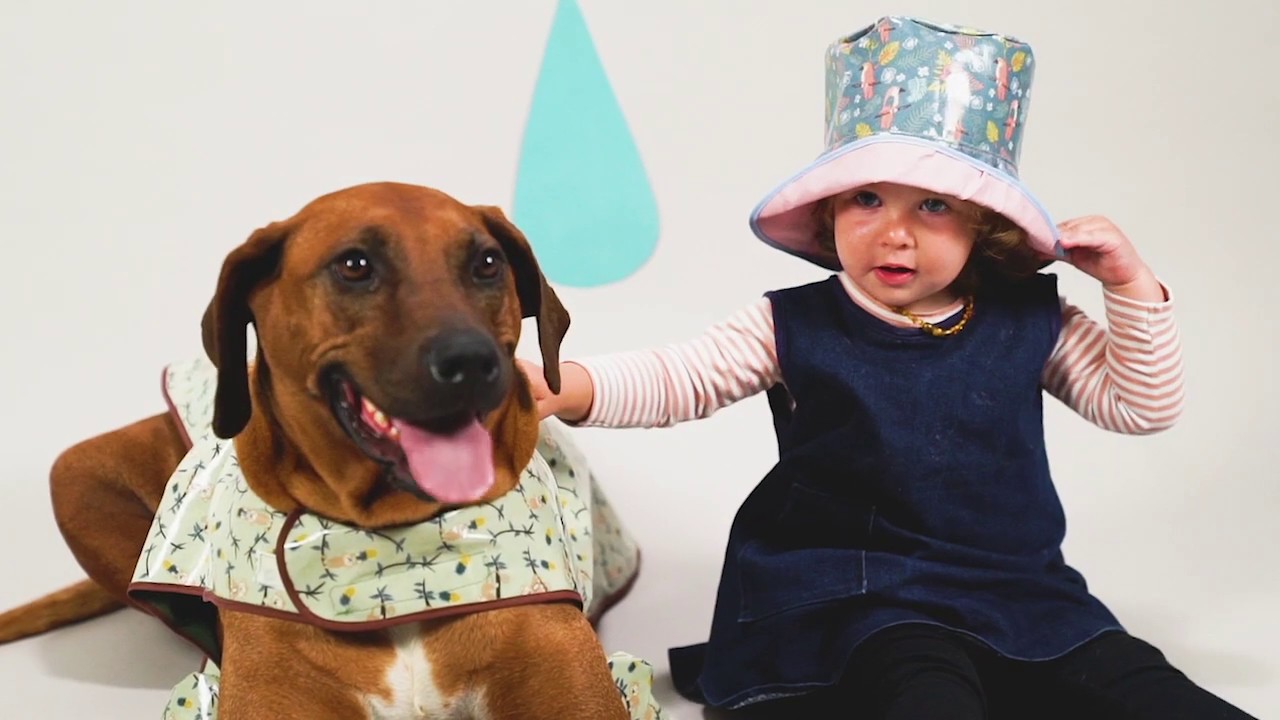 Dog Raincoat