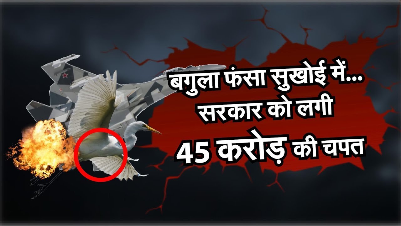 Jodhour News: सुखोई-30 से टकराकर इंजन में फंसा बगुला, ठीक होने में लगेंगे 6 माह, आएगा 45 करोड़ खर्च