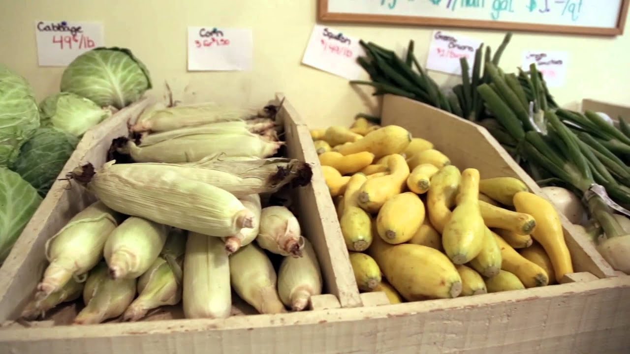 Cotton Hill Farms, Chester, SC