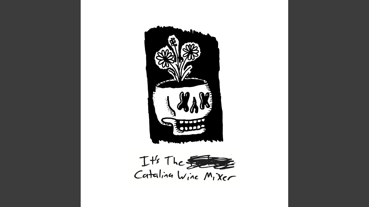 Catalina Wine Mixer