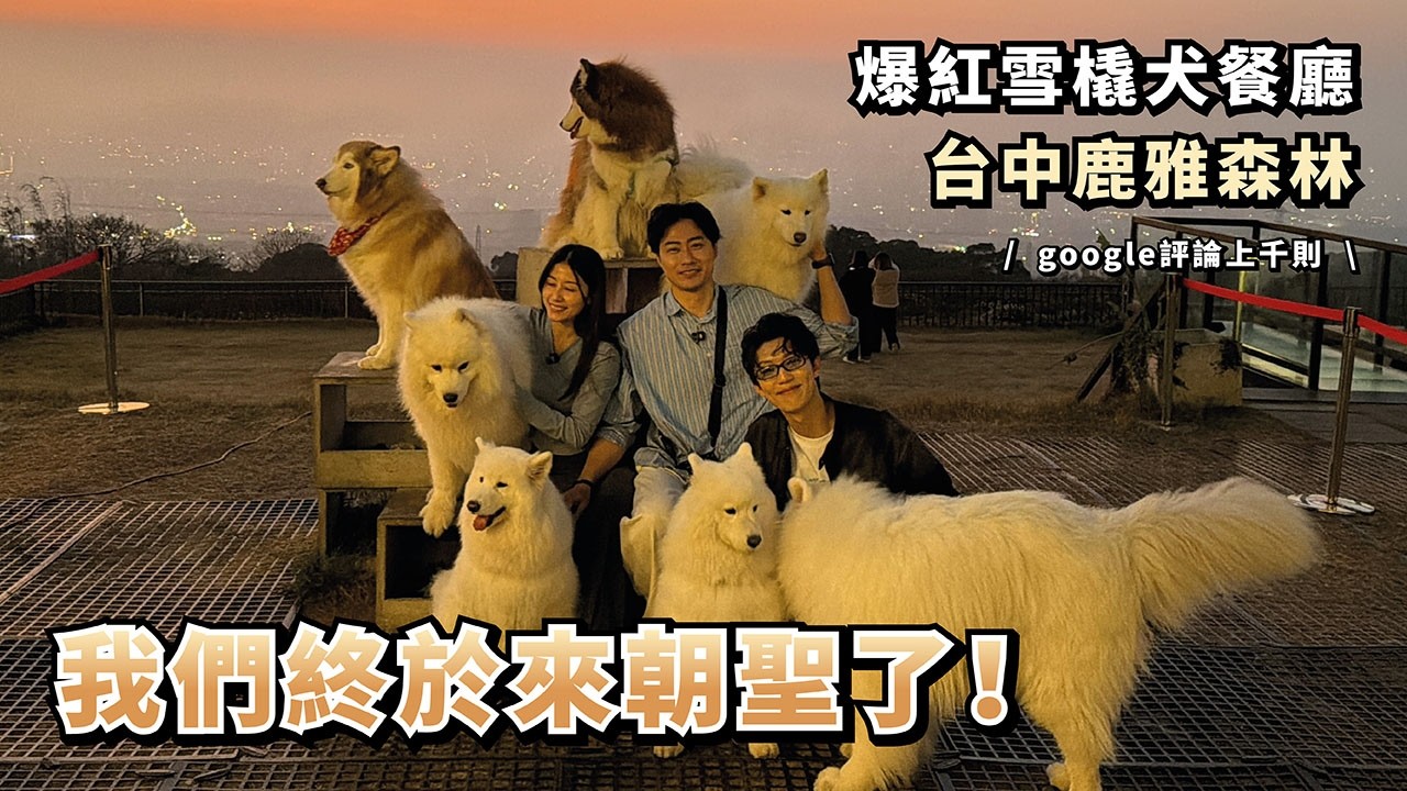 『我們終於來朝聖了！Google評論上千則，爆紅雪橇犬餐廳，台中鹿雅森林』(薩摩耶多比Dobby is free)