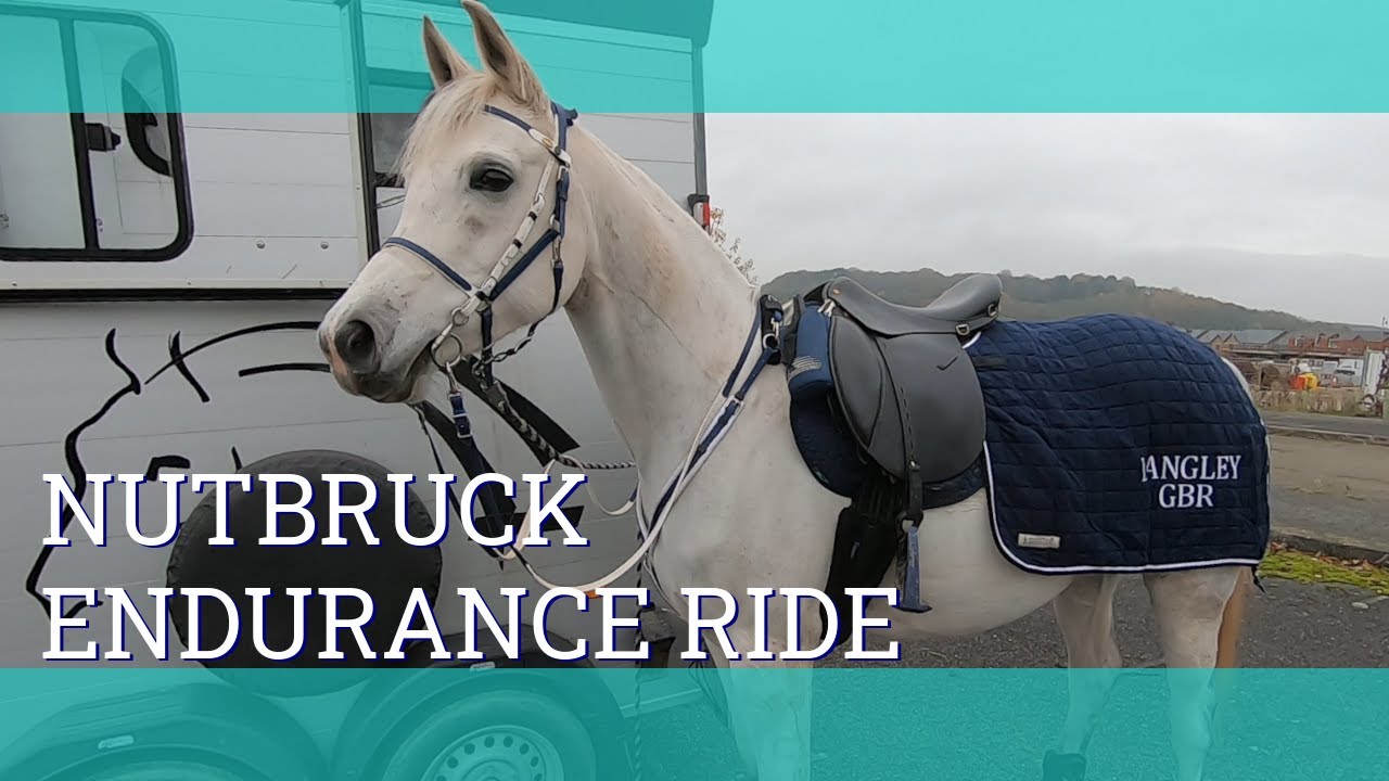 Nutbrook Endurance Social ride - Vlog 208 - Beth Endurance