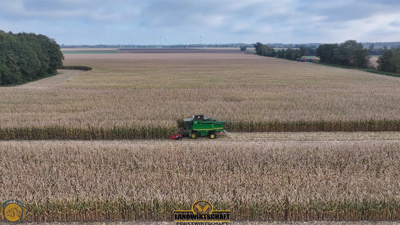 Das Feld nimmt hier kein Ende! Mais Dreschen mit 6 Reigen Maispfl&uuml;cker John Deere M&auml;hdrescher 