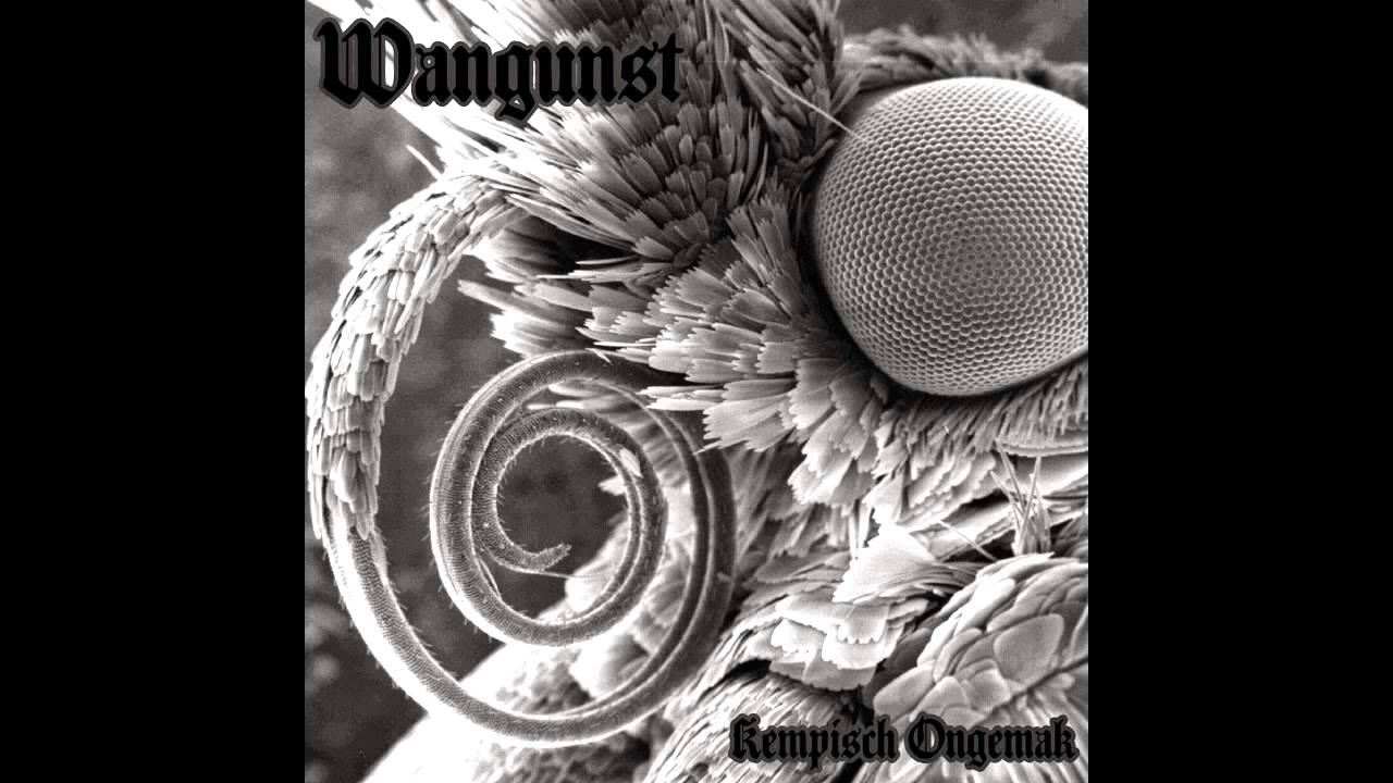 Wangunst - Loodzwaar
