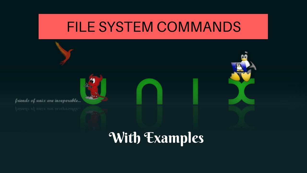 File System commands in Unix with Examples (Tutorial #2 Part B)