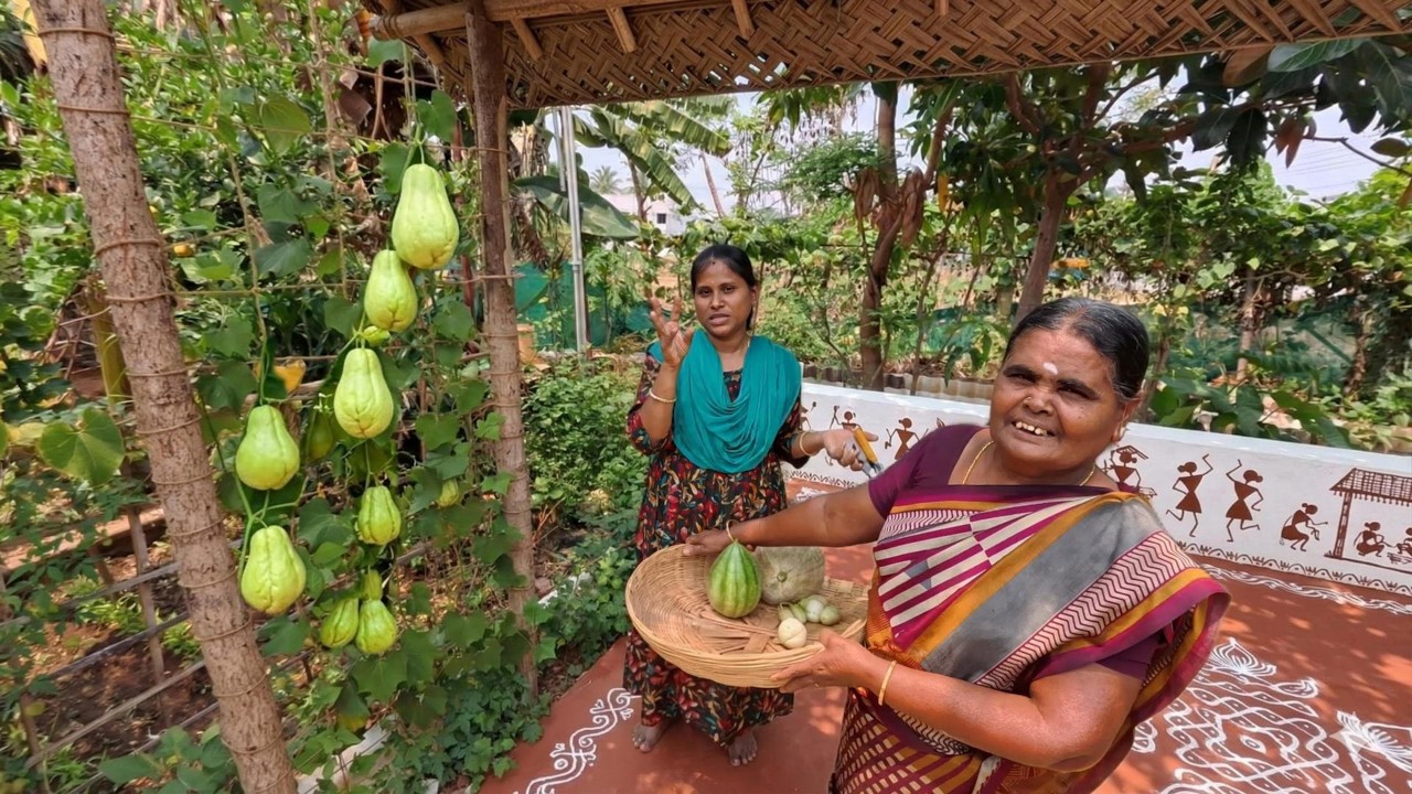 எங்க ORGANIC சந்தை ரெடி ! நம்ம வீட்டுத் தோட்டத்தில இது வேற Level அறுவடை😱| Organic Harvest Vlog 🌿