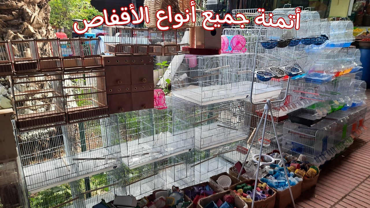 أتمنة جميع أنواع الأقفاص🦜أتمنة الهامستر البادجي الكناري  أتمنة الكوشون داند #سوق_القريعة