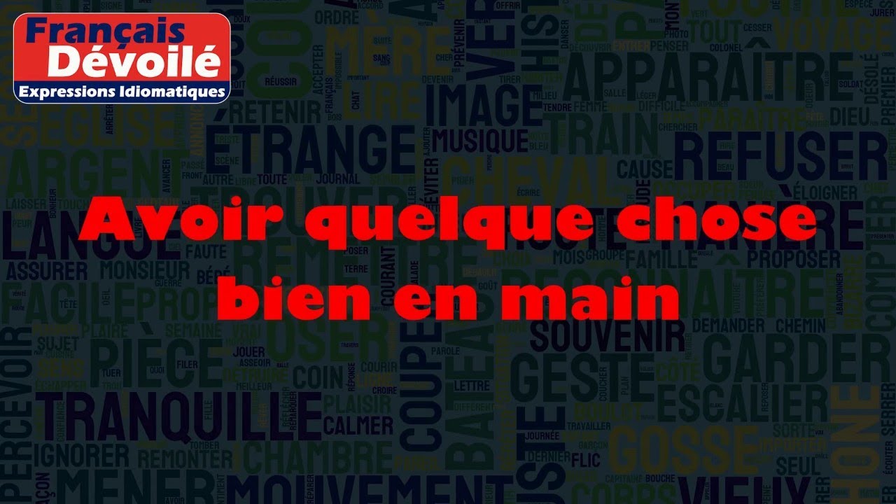 Avoir quelque chose bien en main