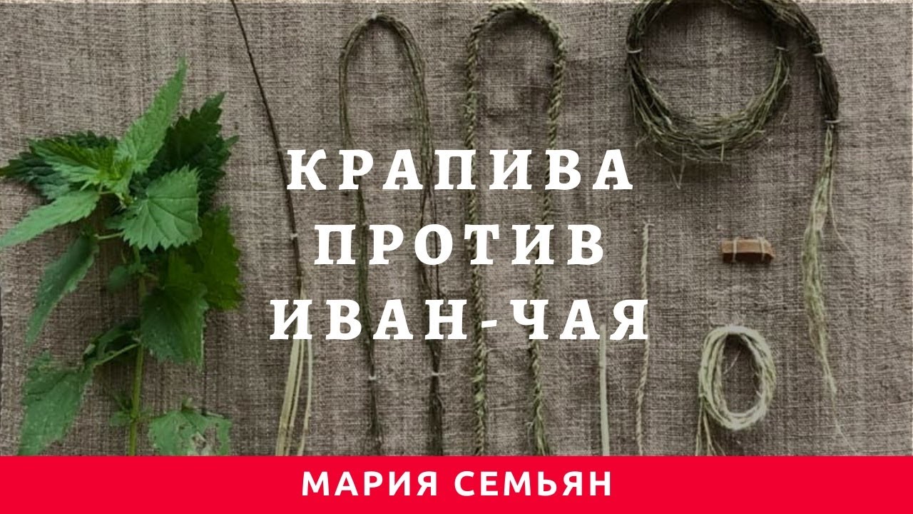 Крапива против иван-чая.