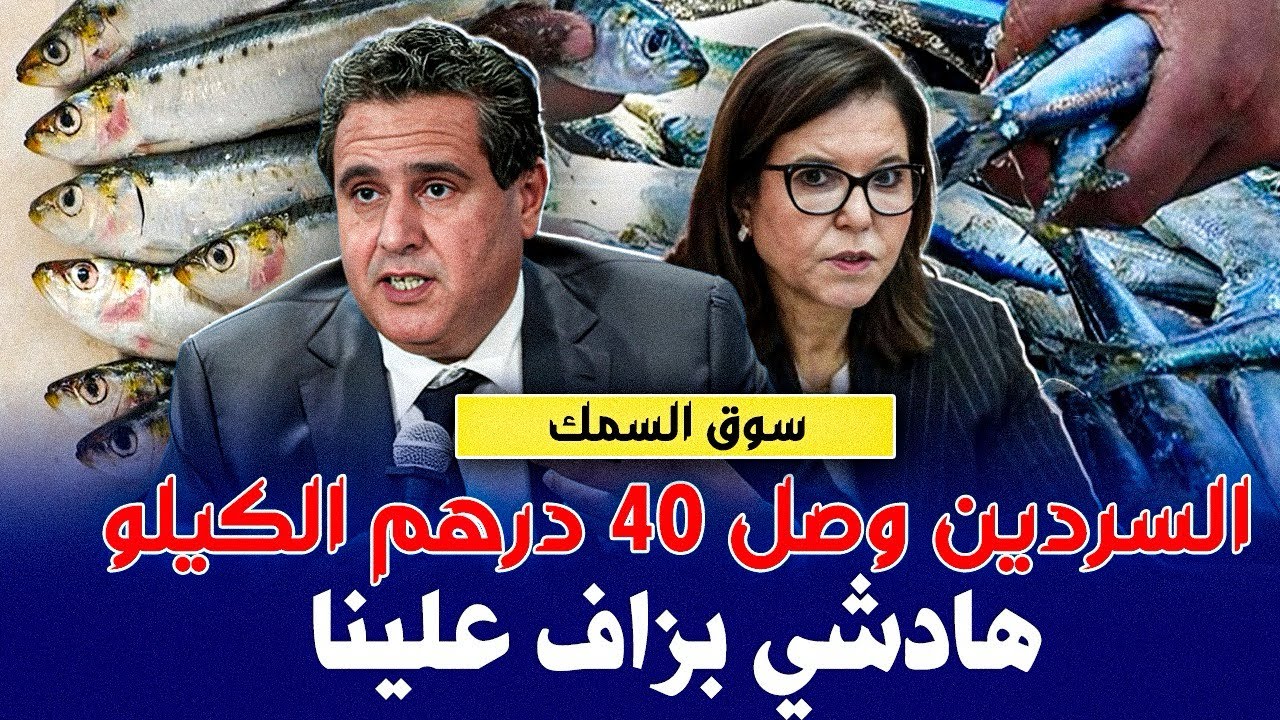 سردين ب 40 درهم او مكاينش ... مغاربة بغينا السردين ب 5 دراهم