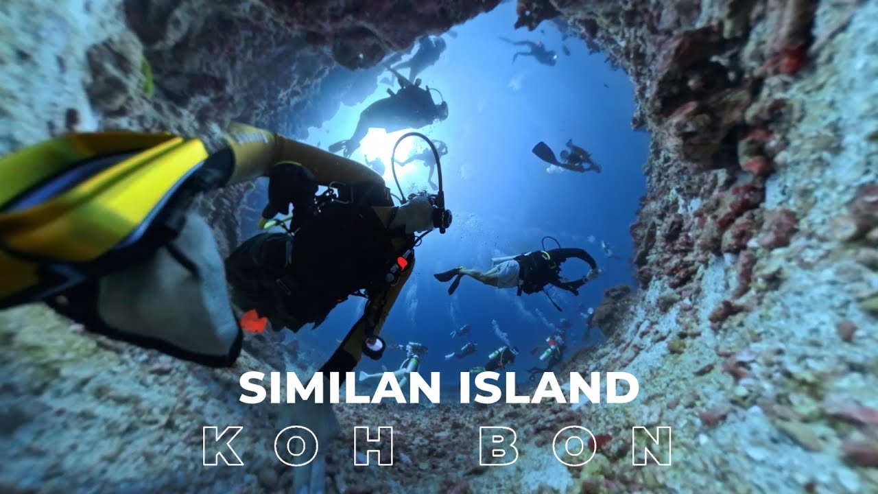 360 scuba diving video Similan islands group Dan 14 dive koh bon