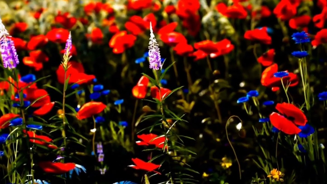 Pyaar ke bina Techno House Mix | DJ DOM |