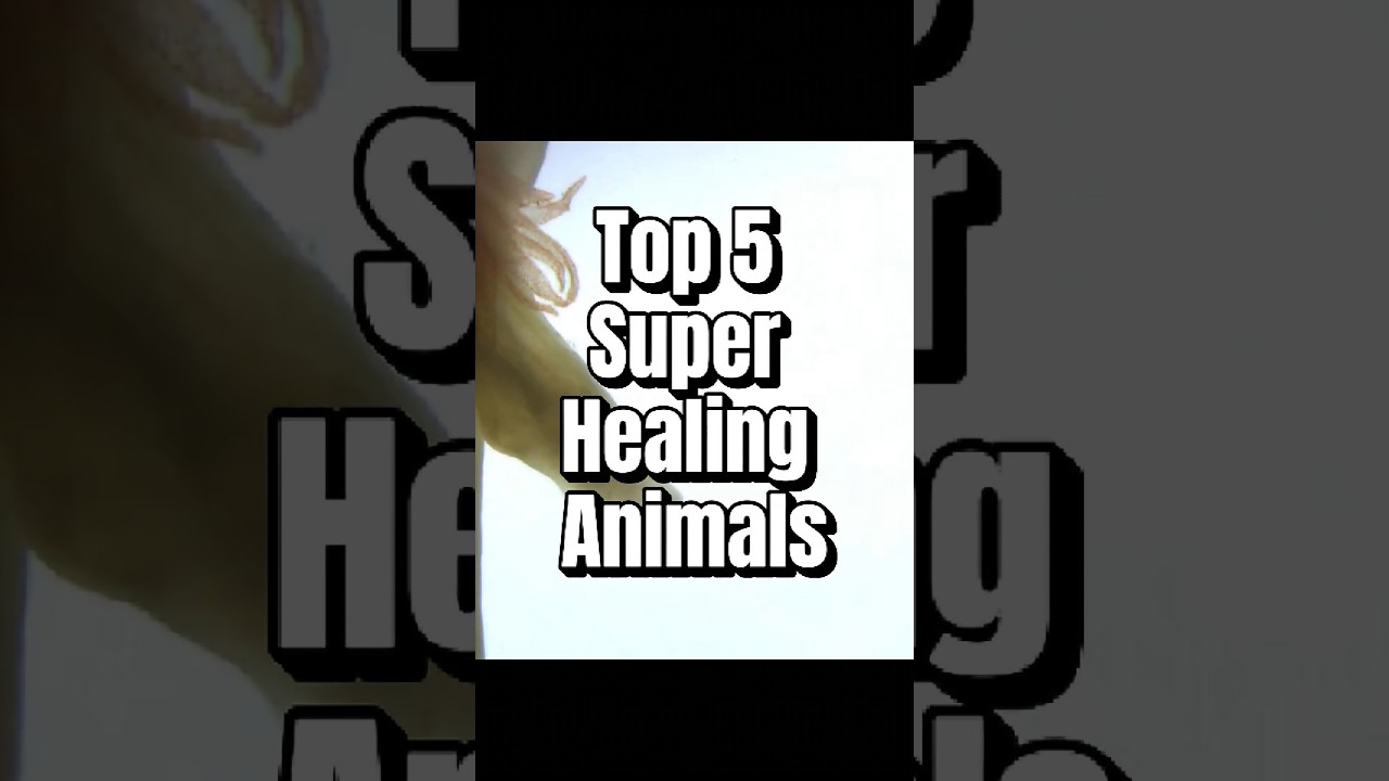 Top 5 Animals With Super Healing Powers! 🧠🦎