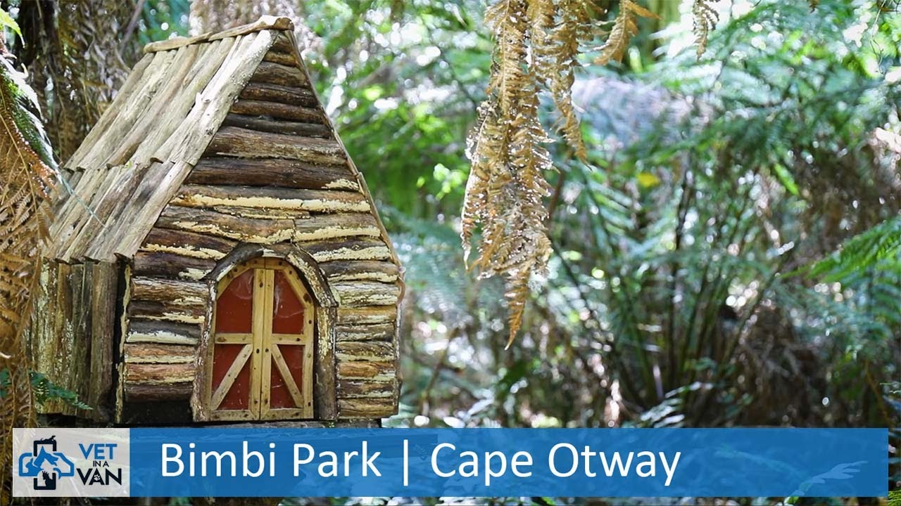 Bimbi Park | Cape Otway | Exploring the region