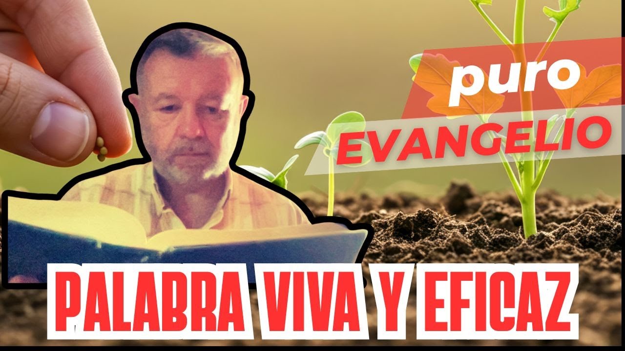 LA PALABRA DE DIOS ES VIVA Y EFICAZ 🔥#evangeliodehoy lunes 26-1-2026 📖 Mt 4,24-36. Parábolas.