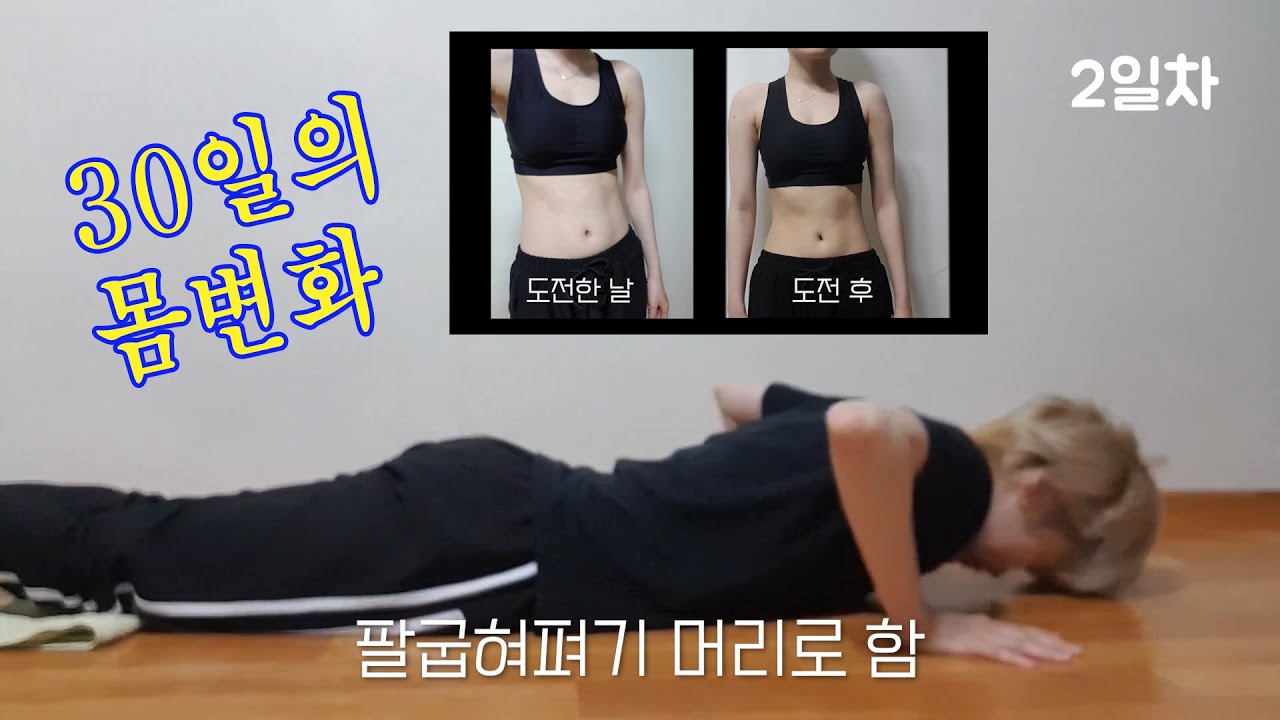 팔굽혀펴기 1개도 못 하는 나의 30일 몸변화 도전기 (feat.생존근육)