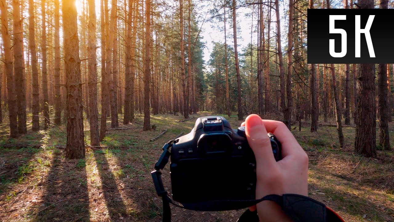 Фото от первого лица #2 | GoPro 9 pov photography 5K