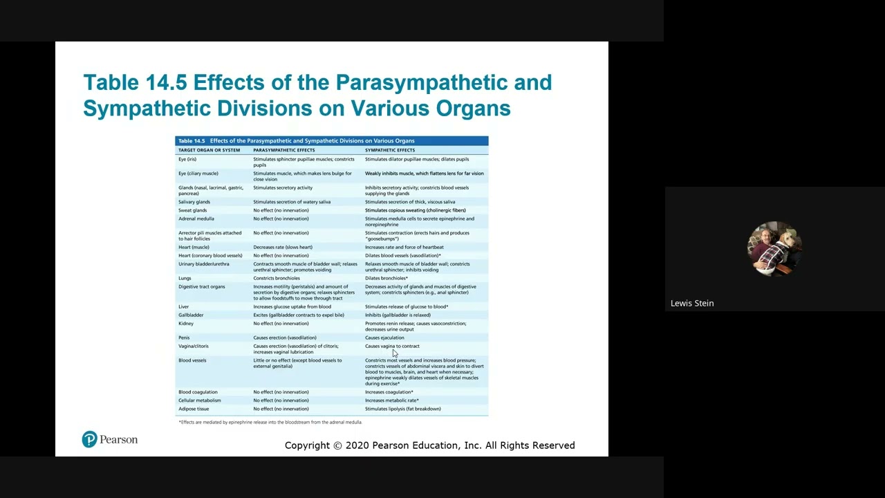 Advanced Physiology   2026 02 18 13 40 EST   Recording