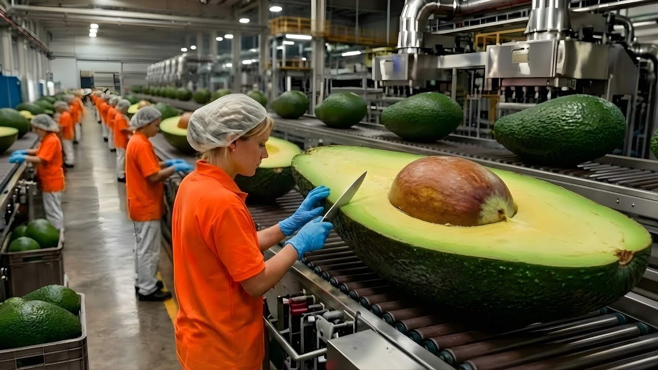 Inside an Avocado Processing Factory | How Dried Avocado Slices Are Made