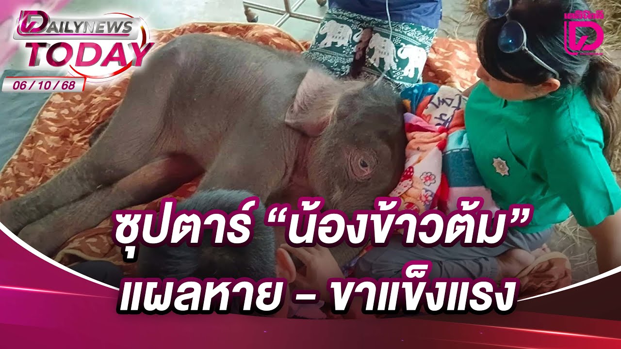 ซุปตาร์