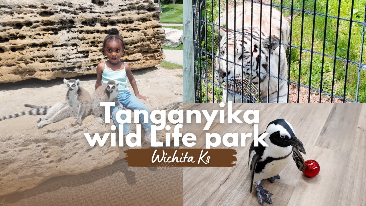 WE VISITED THE TANGANYIKA WILD LIFE PARK