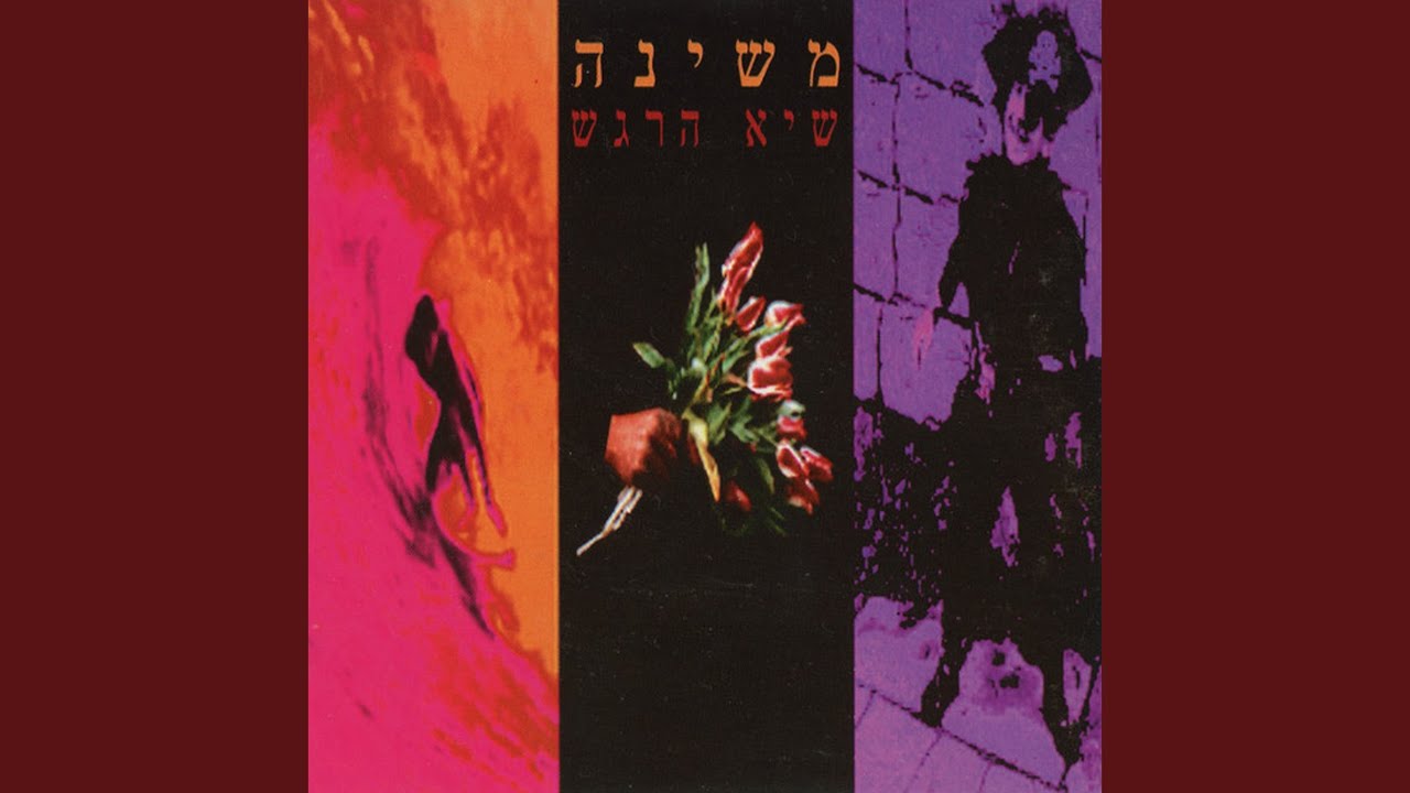 גברת שרה השכנה