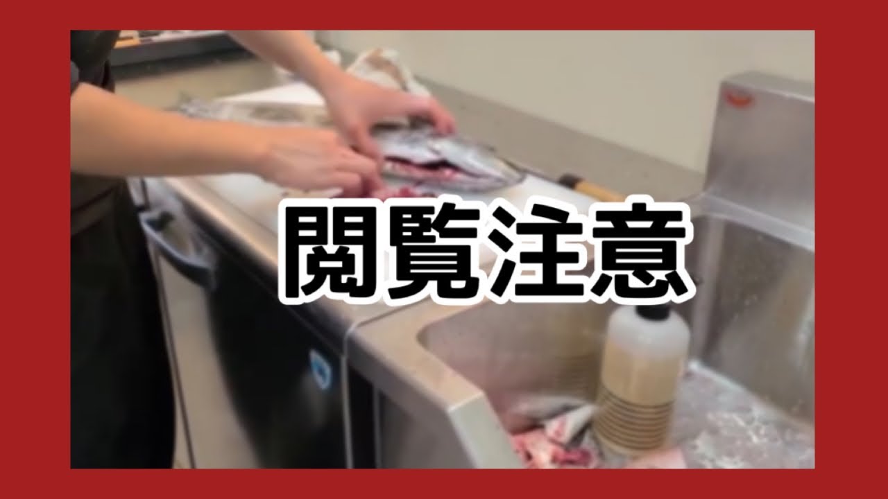 【グロ注意】魚の内臓見せます！
