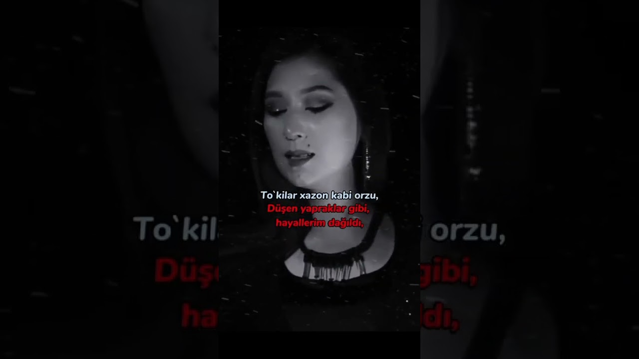 Holimga qara hilola - samirazar