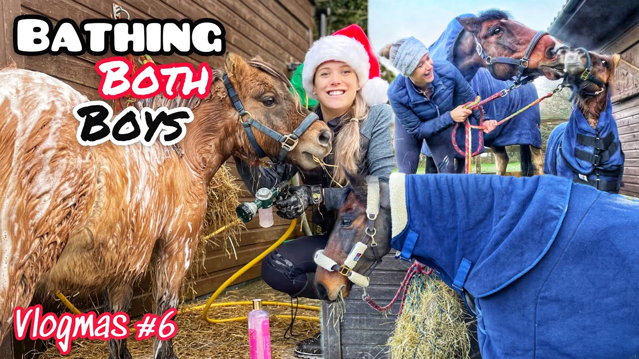 BATHING BOTH MY HORSES + An Exciting Delivery 📦 | VLOGMAS DAY 6