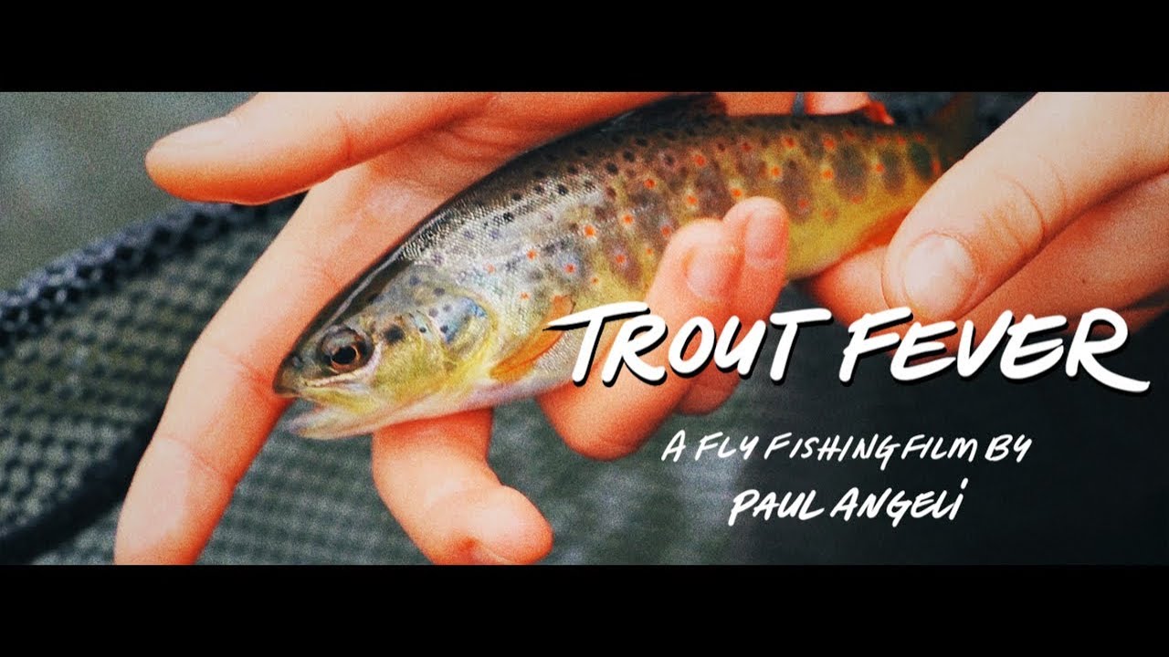 TROUT FEVER | RIO AMATEUR FLY FISHING FILM AWARDS 2019