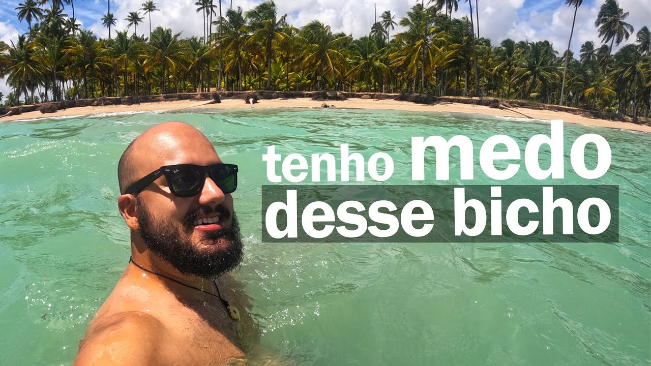 COMO CHEGAR na PRAIA do PATACHO, ALAGOAS.
