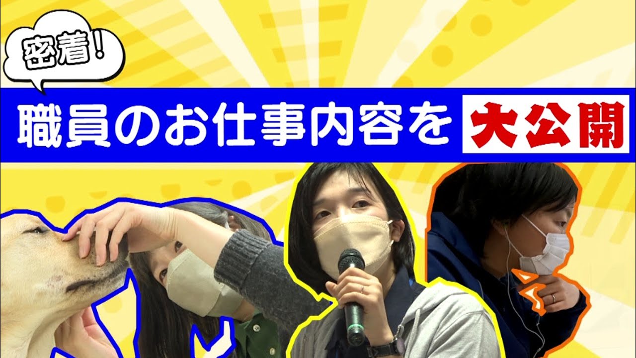 密着！職員のお仕事内容を大公開 《介助犬フェスタ2022》