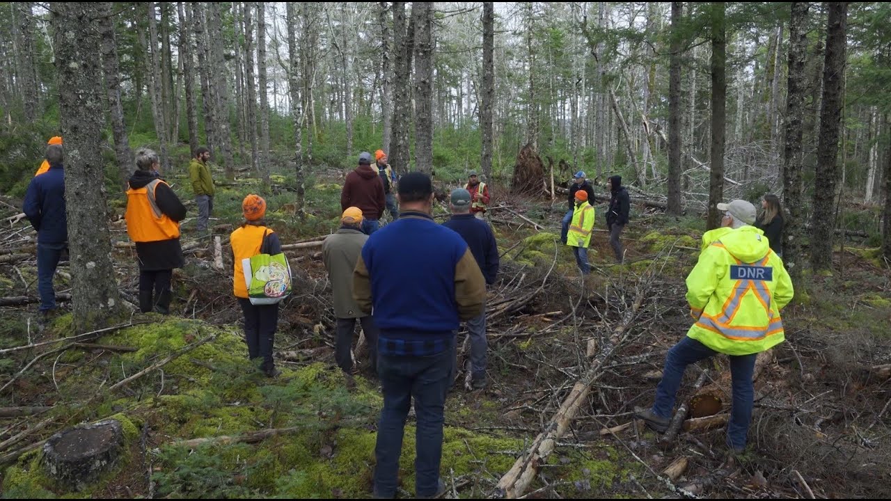 Introduction to Ecological Forestry #1