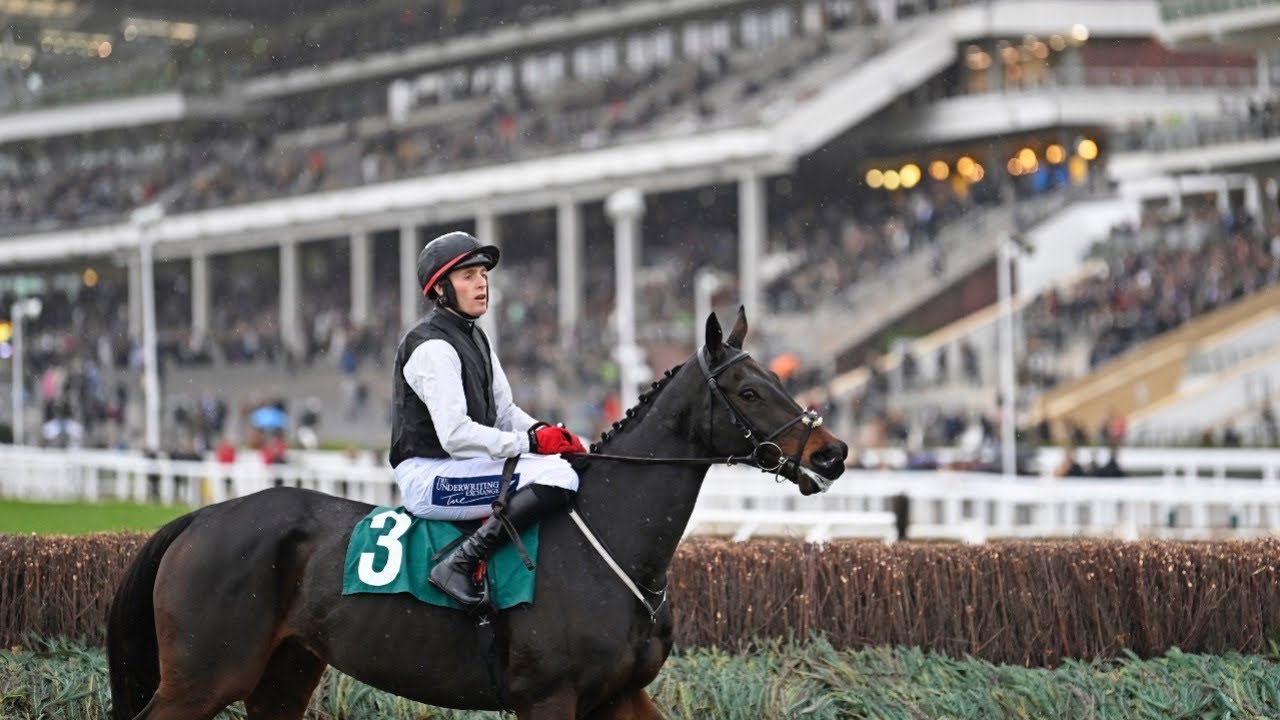 Dual Stayers&rsquo; Hurdle hero Flooring Porter makes winning debut over fences