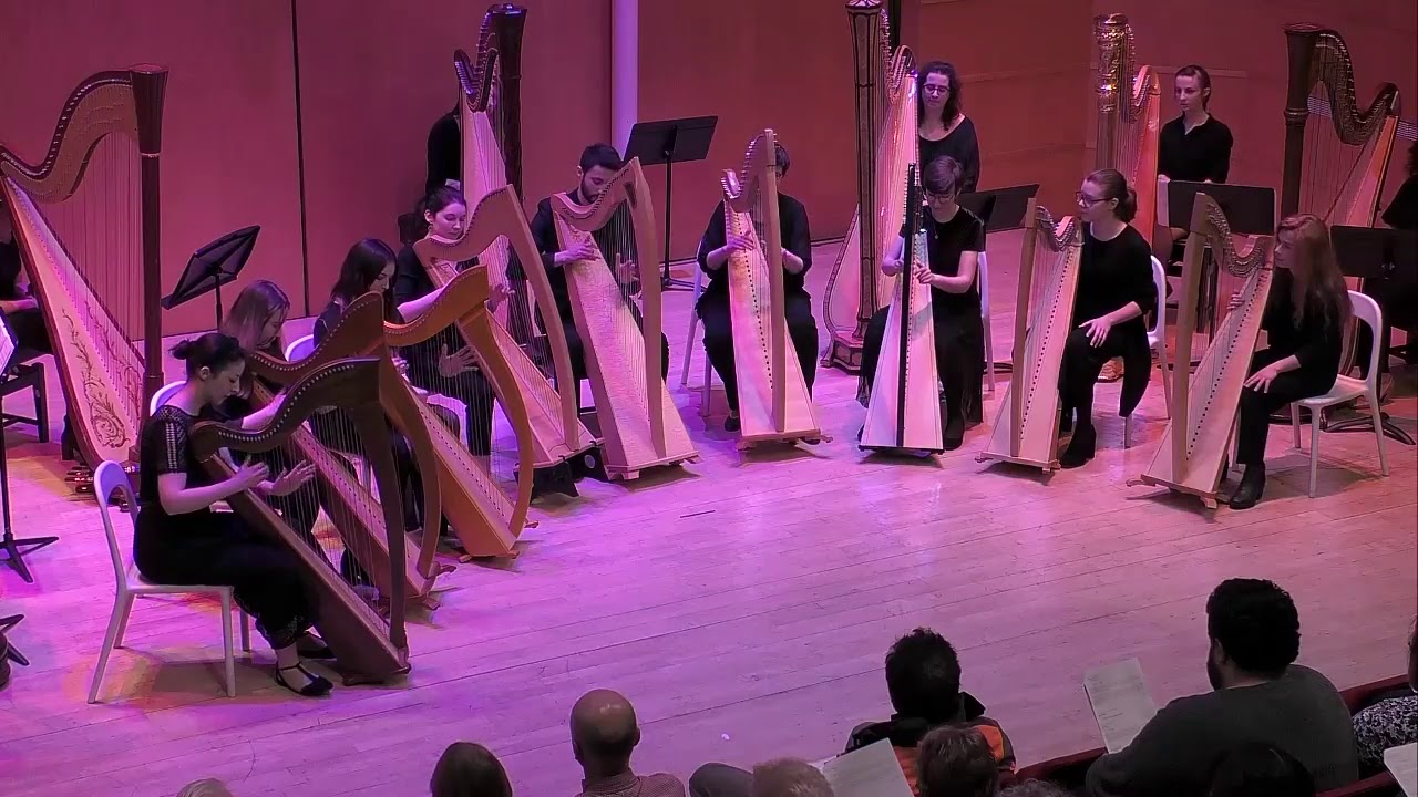 TU Dublin Harp Ensemble - Seasick Dee By Damien O'Kane (arranged by Gráinne Meyer)